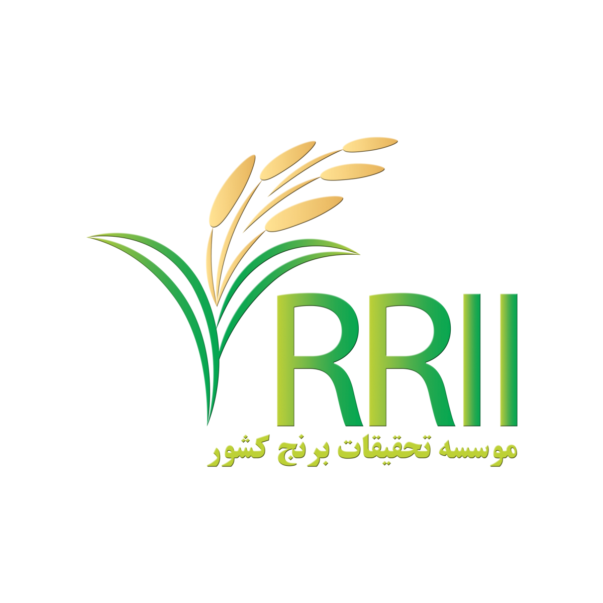 مصاحبه خبرگزاری ایرنا با رئیس موسسه تحقیقات برنج كشور با موضوع «لزوم استفاده از تکنولوژی روز دنیا در کشاورزی برنج»
