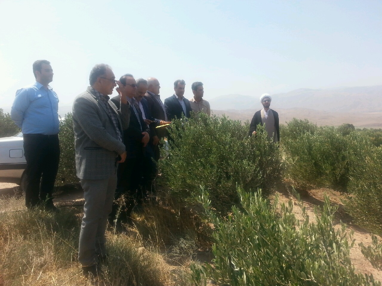 افتتاح طرح آبیاری تحت فشار مزارع نوین ایرانیان اتکا منجیل به مناسبت هفته دولت