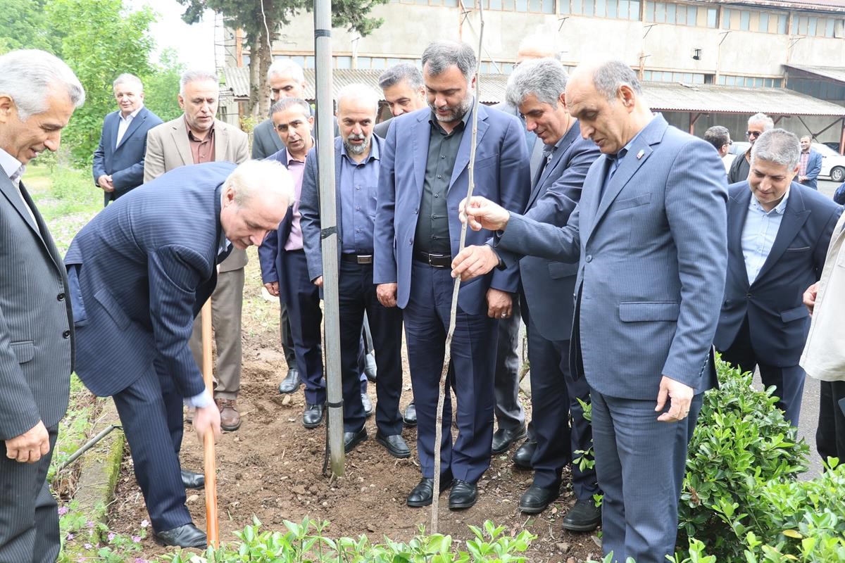 غرس نهال توت توسط استاندار گیلان در محوطه مرکز توسعه نوغانداری کشور