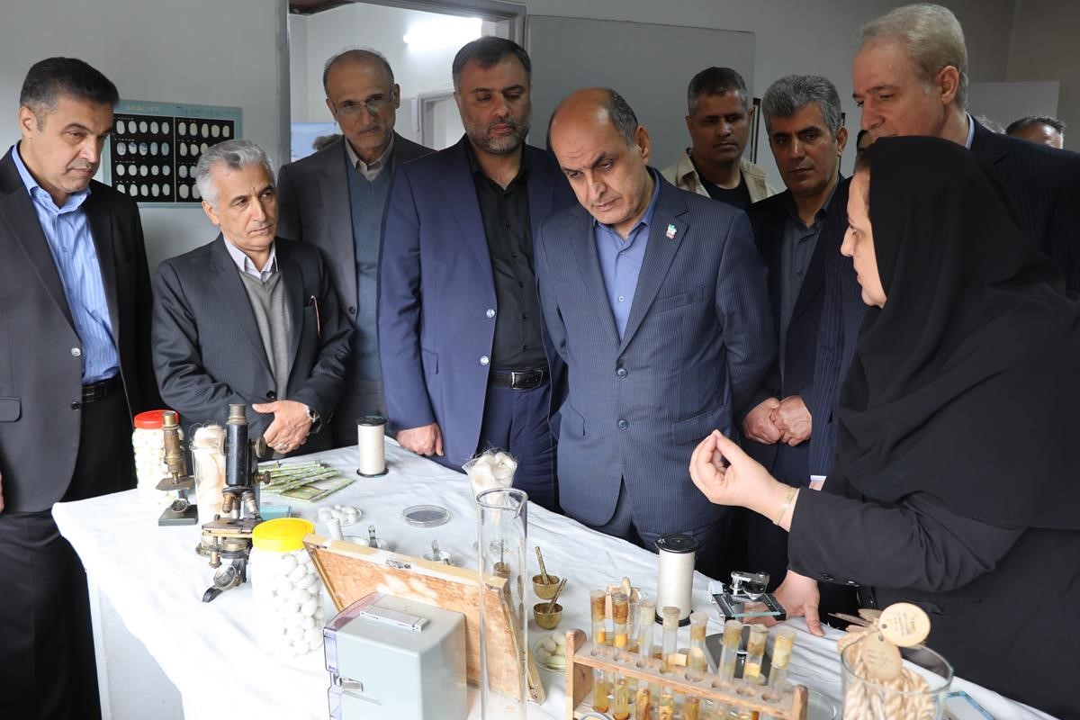 استاندار در بازدید از مرکز نوغانداری گیلان:  تحقیقات، کلید شکوفایی صنعت نوغانداری است