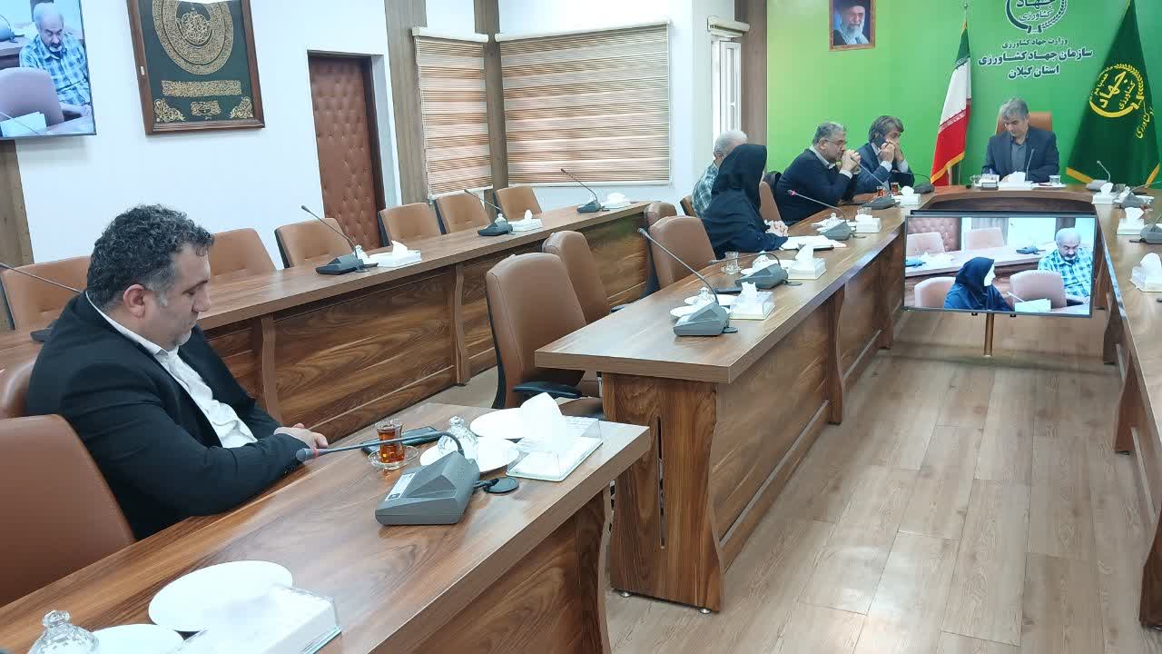 دیدار رئیس سازمان جهاد کشاورزی گیلان با صاحبان واحدهای شالیکوبی