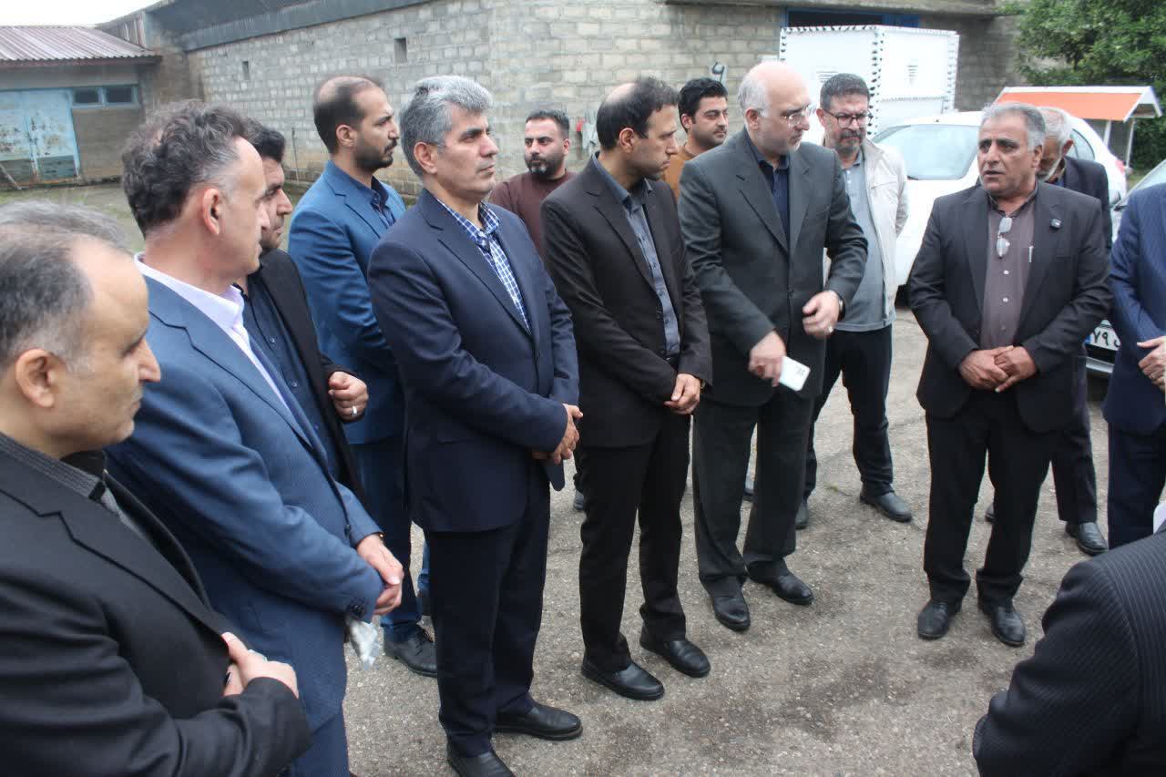 همافزایی مراکز دولتی و بخش خصوصی برای تحول در صنعت ابریشم گیلان