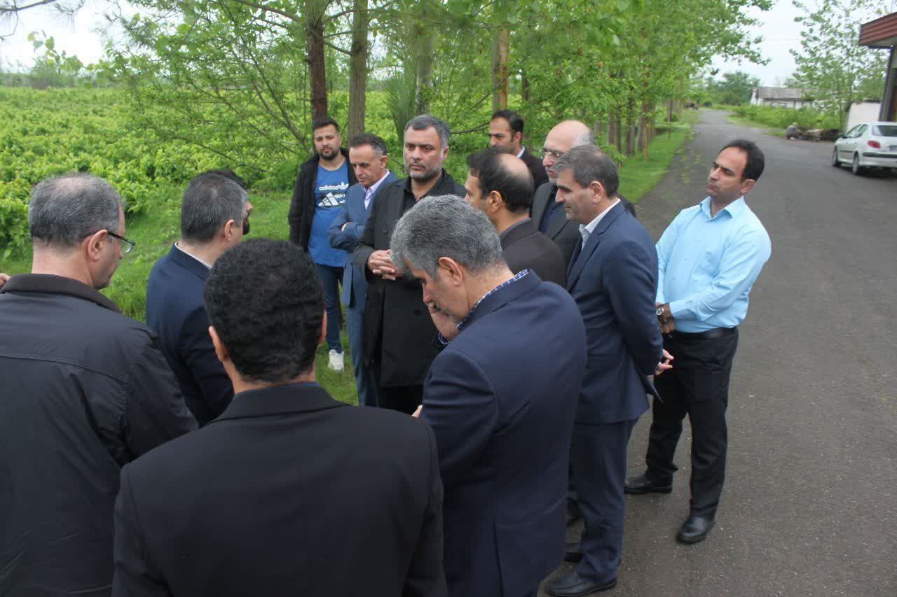 همافزایی مراکز دولتی و بخش خصوصی برای تحول در صنعت ابریشم گیلان