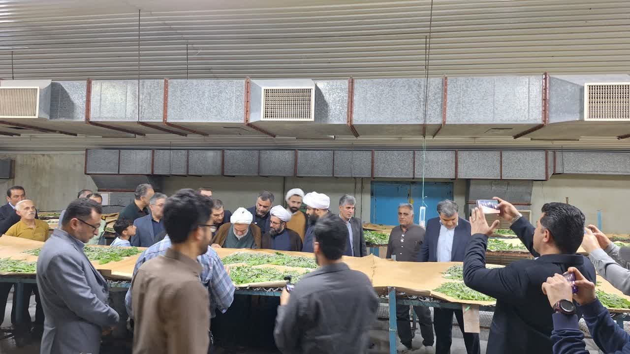 بازدید نماینده ولی فقیه در گیلان از کارخانه صنایع ابریشم صومعه سرا