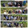 برگزاری کارگاه آموزشی علمی و عملی کشت وپرورش تمشک اصلاح شده در شهرستان لاهیجان
