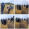 محققین موسسه تحقیقات برنج کشور در پهنه تولیدی شهرستان لنگرود حضوریافتند