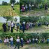 برگزاری دوره آموزشی مبارزه وکنترل آفات و بیماریهای برنج در شهرستان سیاهکل 