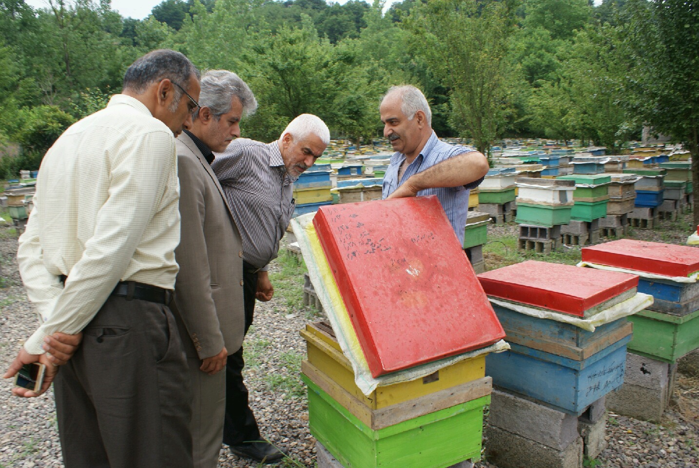آغاز تولید عسل و فرآورده های آن در لاهیجان