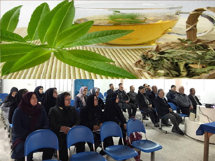دوره آموزشی پرورش گیاهان دارویی(به لیمو) در شهرستان رودبار