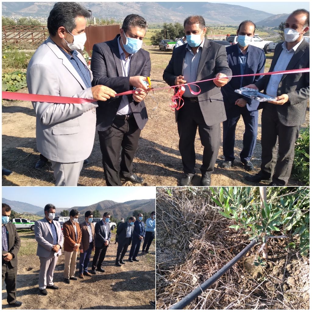 دو پروژه آبیاری تحت فشار دربخش رحمت آباد شهرستان رودبار افتتاح شد