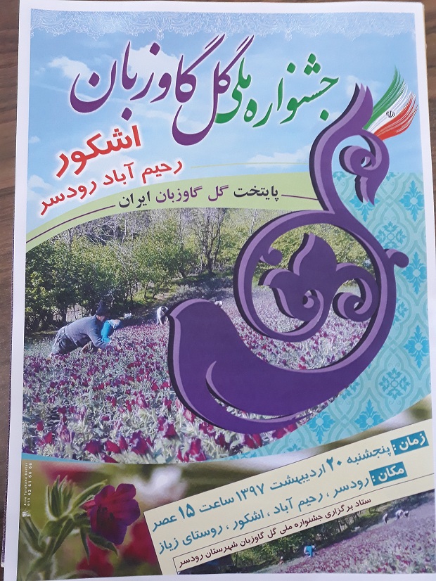 جشنواره ملی گل گاو زبان