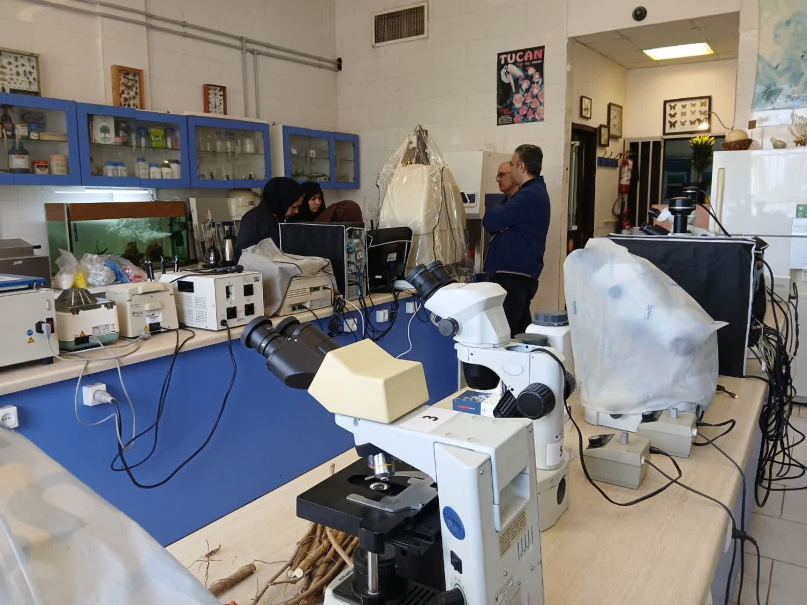 مانور سراسری حفظ نباتات  در گیلان برگزار شد