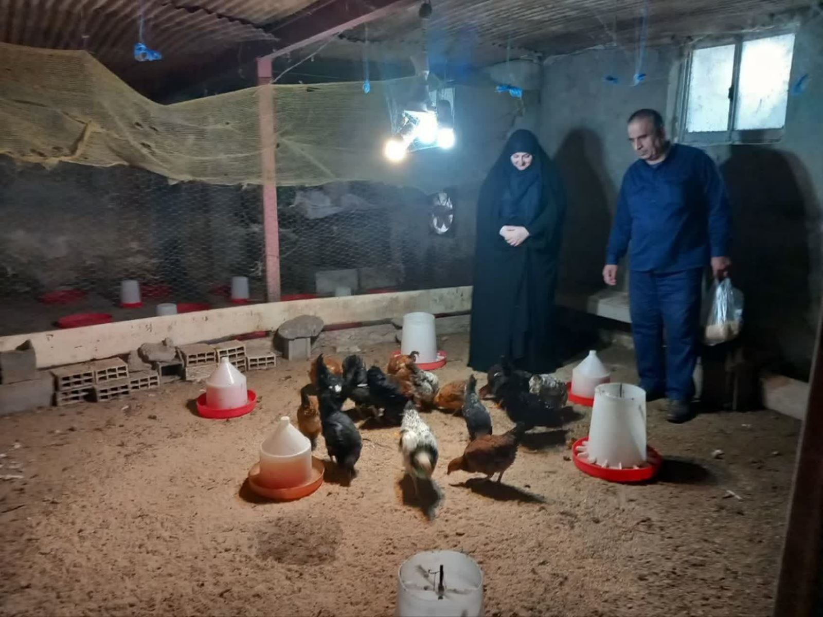 بازدید از طرح پرورش مرغ بومی در لنگرود