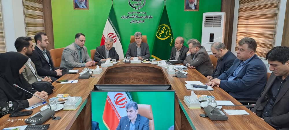 رئیس سازمان جهاد کشاورزی استان مطرح کرد: ضرورت بیمه اجباری برای برنج‌کاران و دامداران گیلان