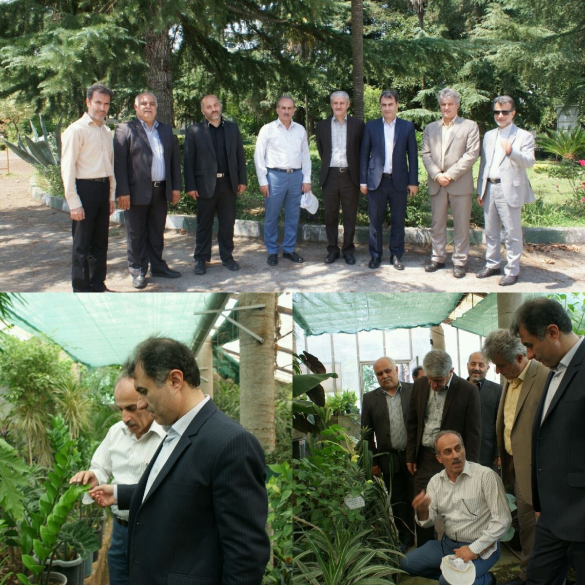 بازدید رئیس  سازمان جهاد کشاورزی گیلان از ایستگاه تحقیقات، گل و گیاهان زینتی لاهیجان