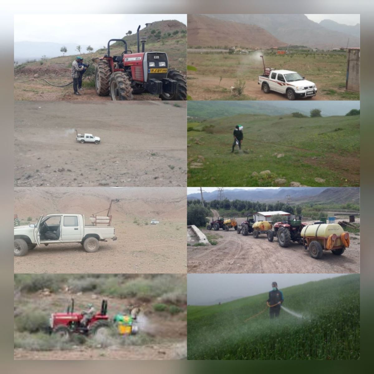 مبارزه با آفت ملخ مراکشی در بیش از ۱۳ هزار هکتار از اراضی شهرستان رودبار
