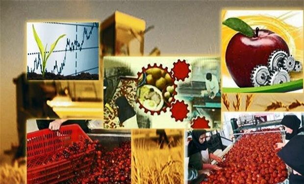 معرفی ۳۱۰ طرح سرمایه‌گذاری بخش کشاورزی به بانک‌های عامل استان گیلان