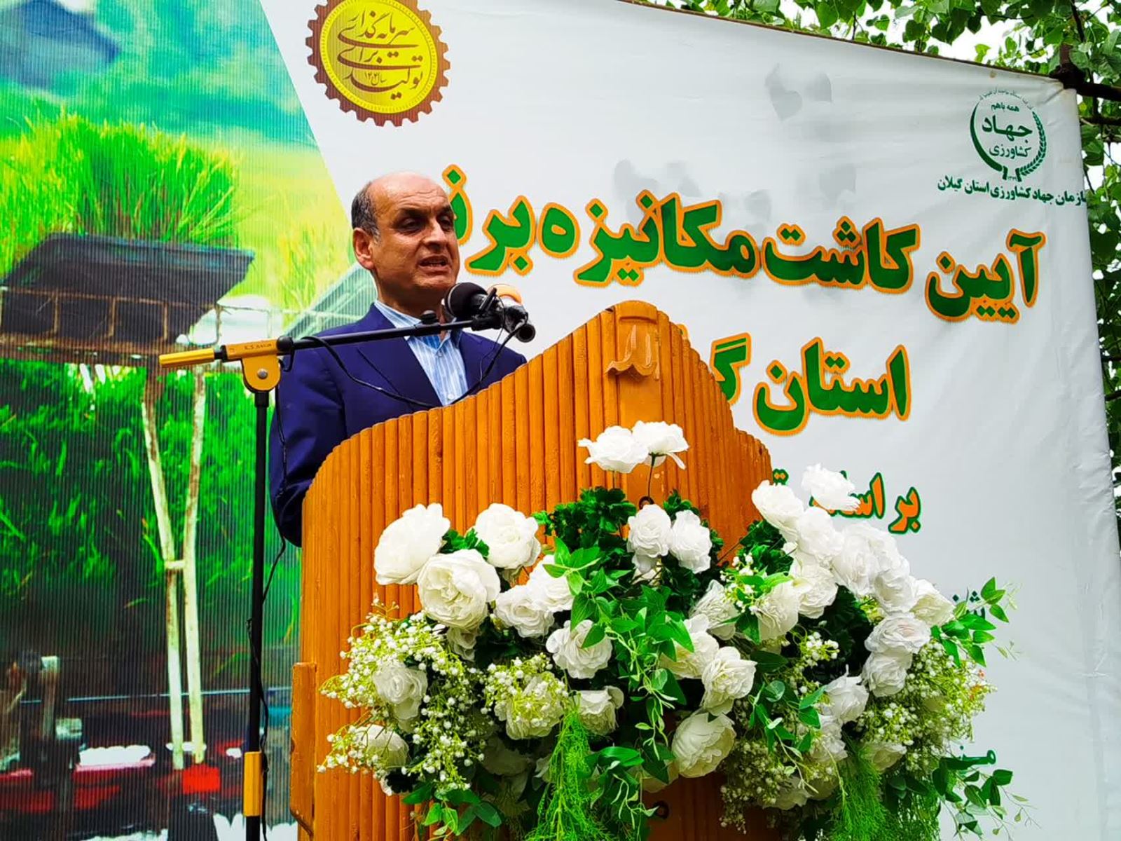 کشت برنج در گیلان آغاز شد