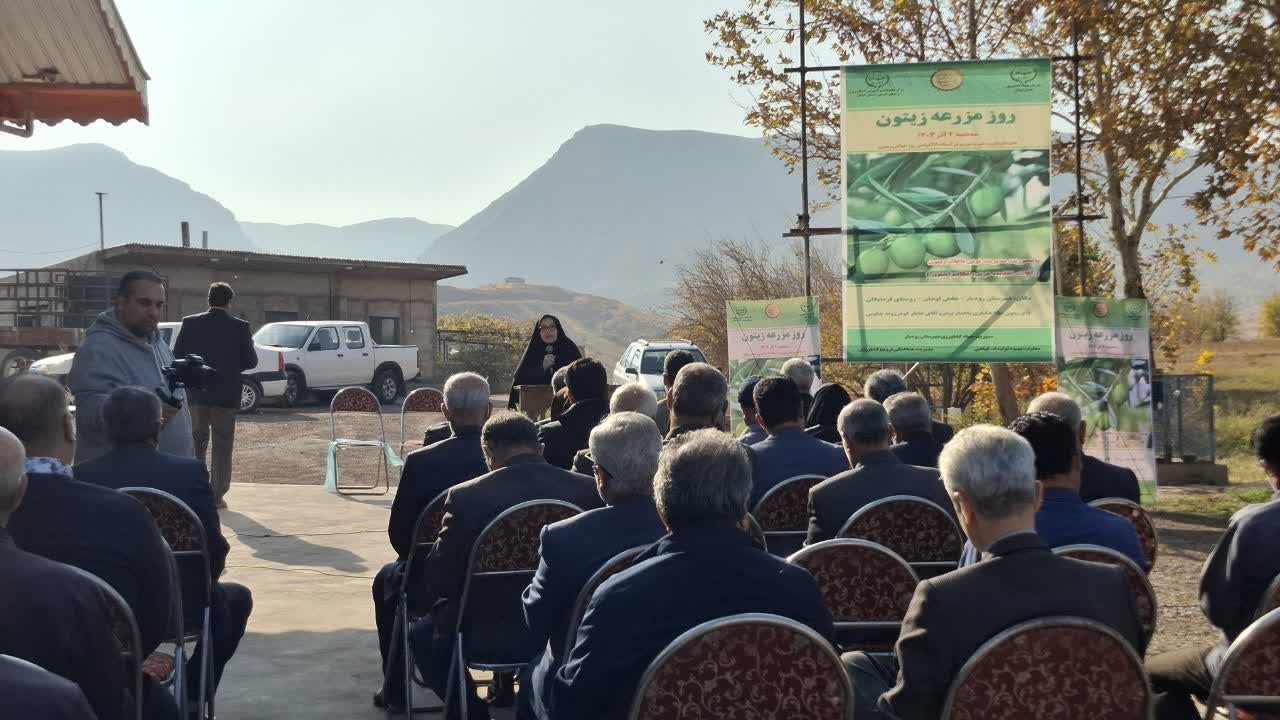مدیر جهاد کشاورزی رودبار: زیتون کاران رودبار عضو تعاونی باغداران زیتون شوند