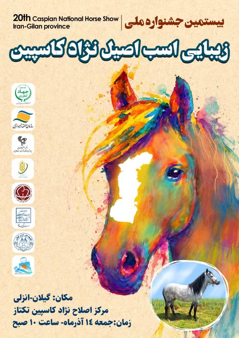رئیس سازمان جهاد کشاورزی گیلان: جشنواره ملی زیبایی اسب کاسپین در گیلان برگزار می شود