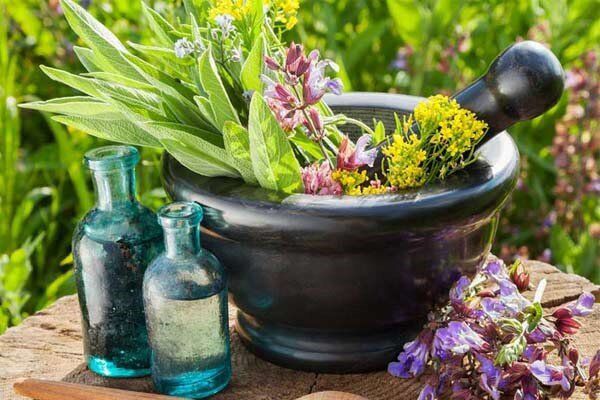 مدیر جهاد کشاورزی شهرستان رودسر مطرح کرد: فرآوری گیاهان دارویی و جلوگیری از خام‌فروشی محور برنامه‌های سازمان جهاد کشاورزی گیلان