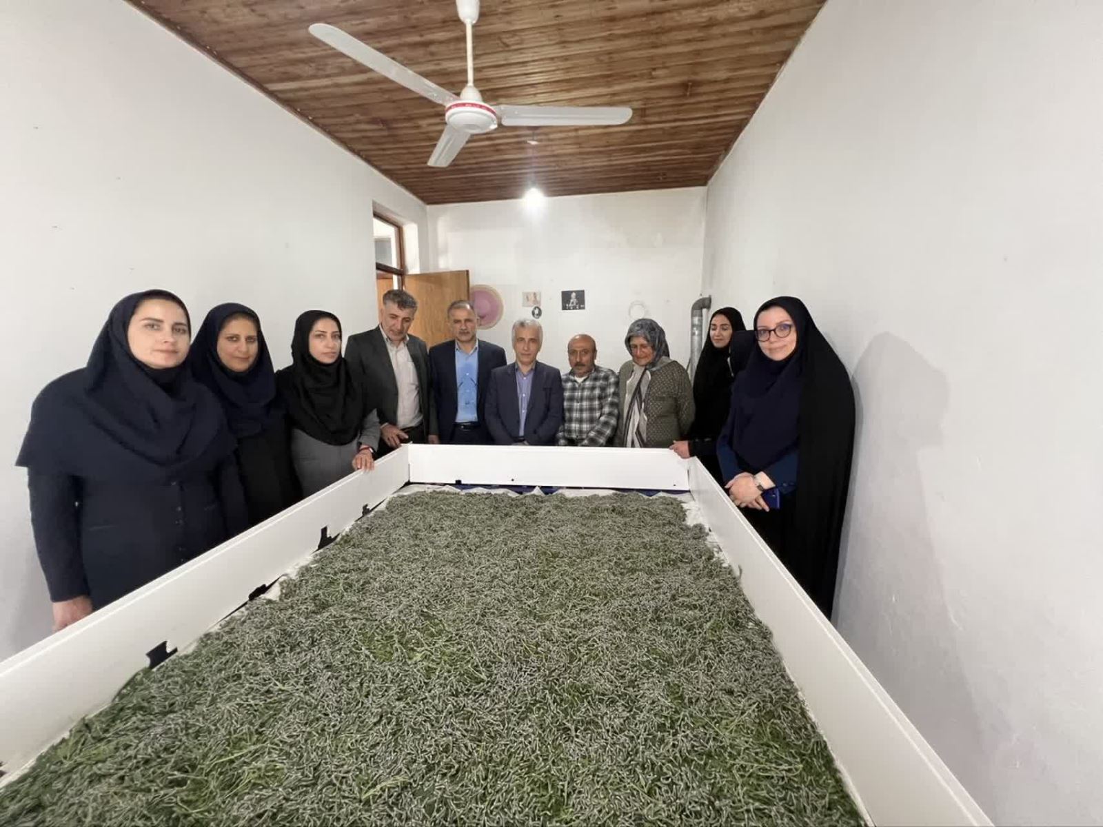 ارتقای معیشت پایدار زنان روستایی از طریق توان افزایی در زنجیره ارزش نوغان‌داری