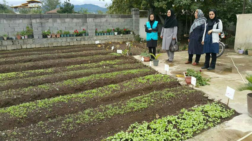 اجرای طرح بهبود تغذیه زنان روستایی و ایجاد باغچه های خانگی در گیلان در سال99