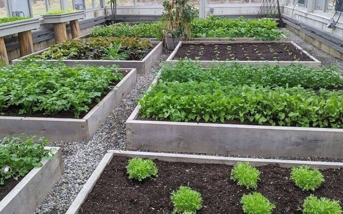 خانه باغ های گیلان؛ فرصت خروج کشاورزان از تک محصولی