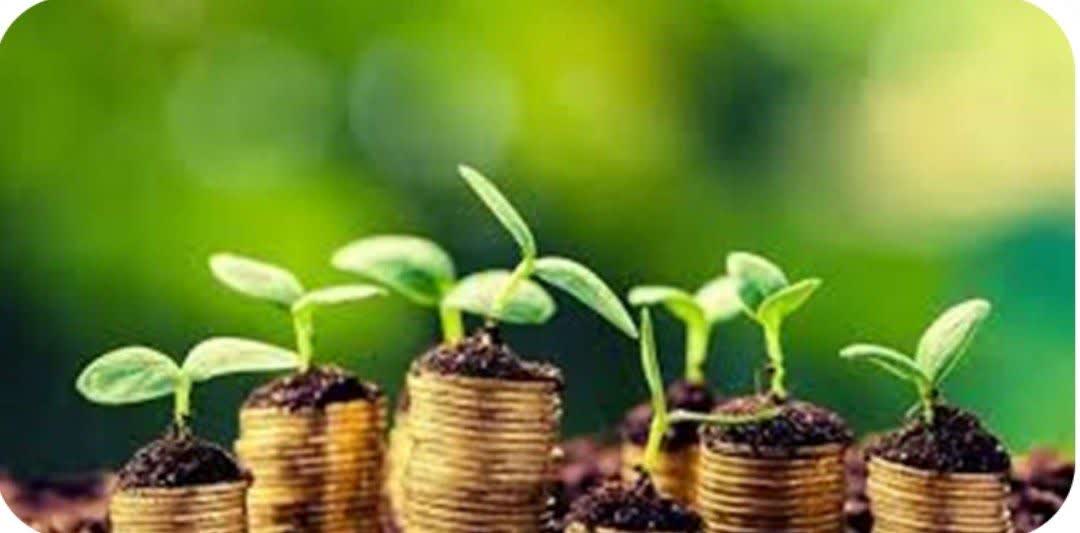 تمدید مهلت بیمه محصولات کشاورزی در گیلان