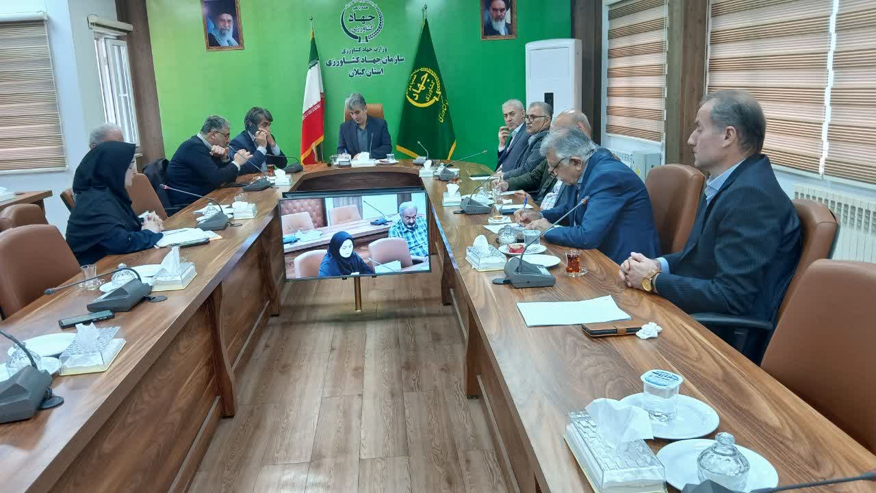 دیدار رئیس سازمان جهاد کشاورزی گیلان با صاحبان واحدهای شالیکوبی